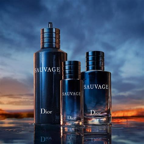 sai ave dior 60ml|sauvage dior sephora.